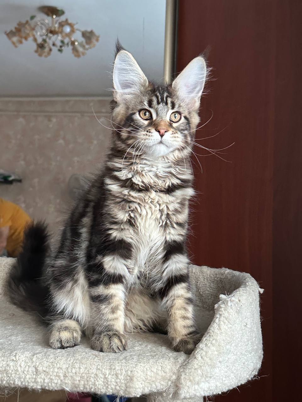 Milo